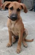 Bella