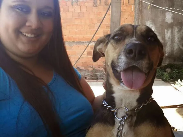 Cachorro ra a vira lata idade 2 anos nome nenem