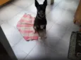 Neguinha