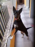 Neguinha