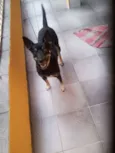 Neguinha