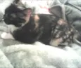 Missy