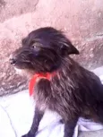 Nina