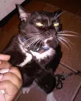 Jerry