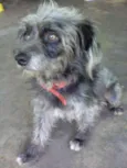 spike