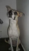 Winnie