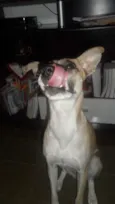 Winnie