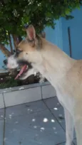Winnie