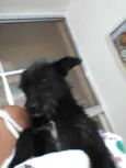 Mindoim