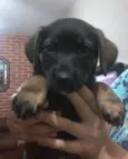 Julieta e Mirela