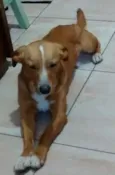 Doug