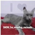 SNOW