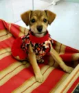 Frida