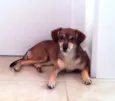 Frida