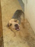 Teka
