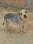 Teka