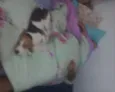 BIGUINHO