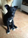 Tina