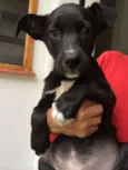 Tina