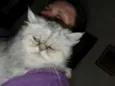 Bella