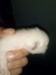 Frozen