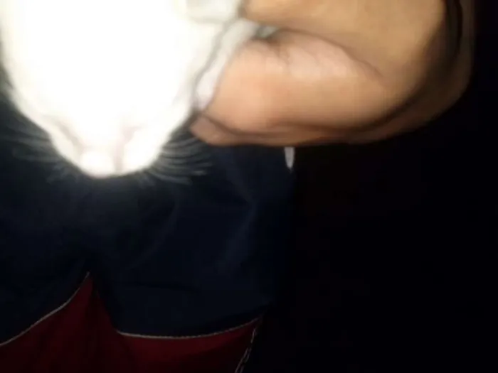 Gato ra a viralata idade Abaixo de 2 meses nome Frozen