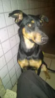 Tequila