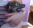 Duda