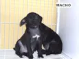 Lindos bebês