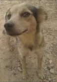 Teka