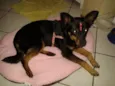 Vitória
