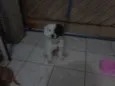 Preto e Branco