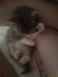 Tom