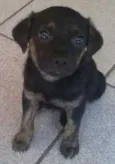 Belinha