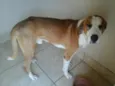 João