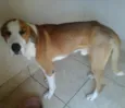 João