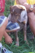 Chiquita
