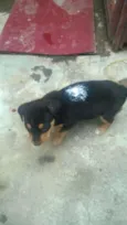 indefinido