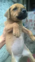 indefinido