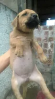 indefinido