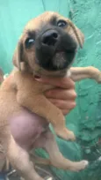 indefinido