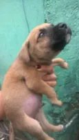 indefinido