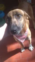 Princesa