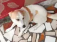 Nina
