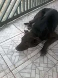 Francisco