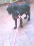 Jully