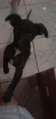 Neguinha