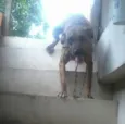 Scooby