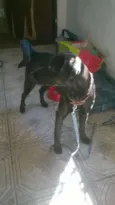 Neguinha