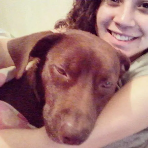 Cachorro ra a SRD idade 1 ano nome Bombom
